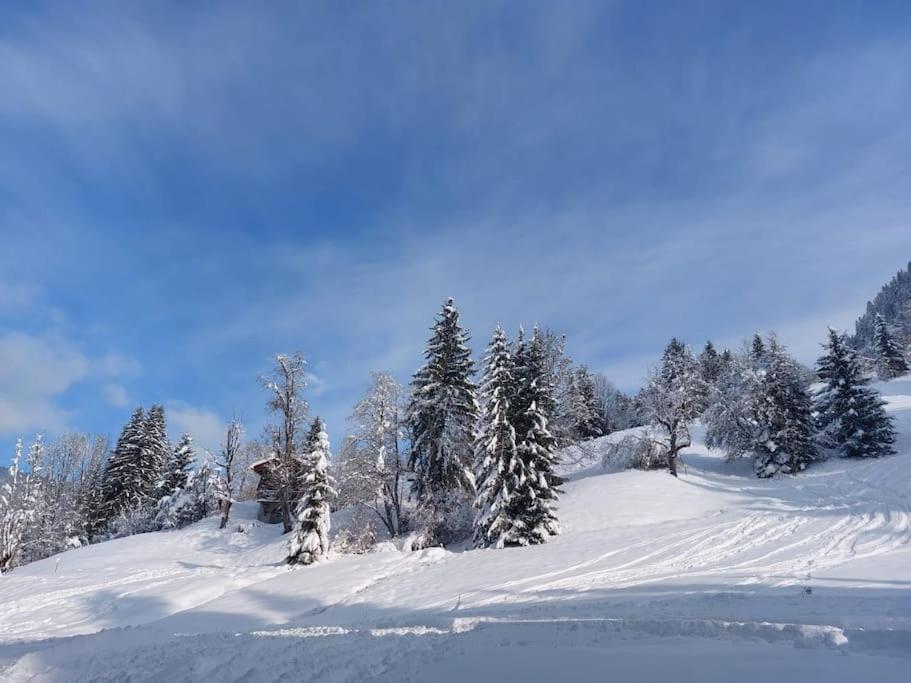 Appartamento Di Charme Praz-sur-Arly Exteriér fotografie